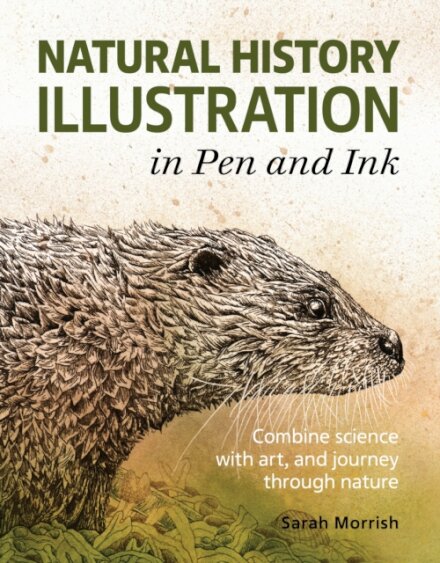 Natural History Illustration in Pen and Ink