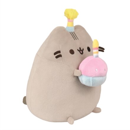 BIRTHDAY PARTY PUSHEEN