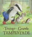 O Texugo E A Grande Tempestade