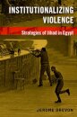 Institutionalizing Violence