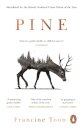 Pine