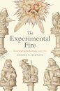 The Experimental Fire