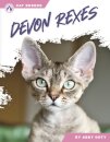 Devon Rexes