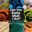 Can You Guess What I Am?: At the Seaside