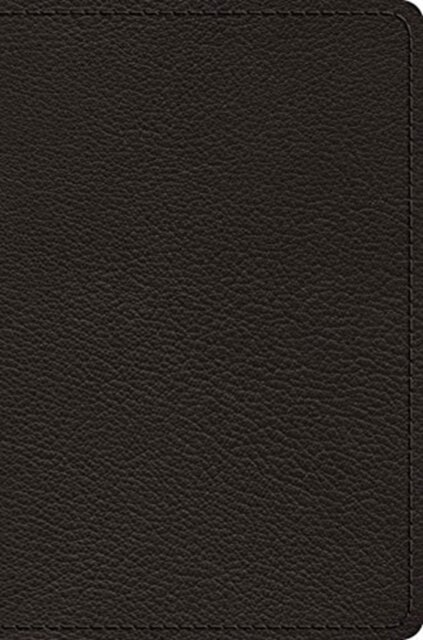 ESV Preaching Bible, Verse-by-Verse Edition