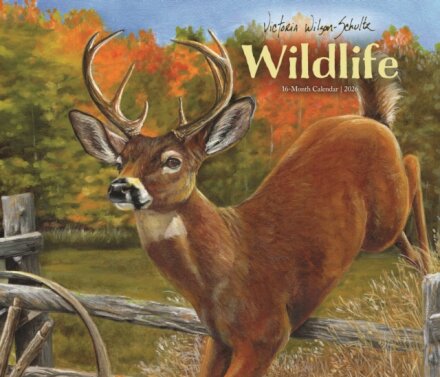 Victoria Schult Deluxe Wall Sunday Start