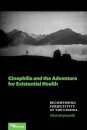 Cinephilia and the Adventure for Existential Health