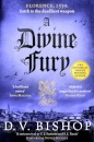 Divine Fury