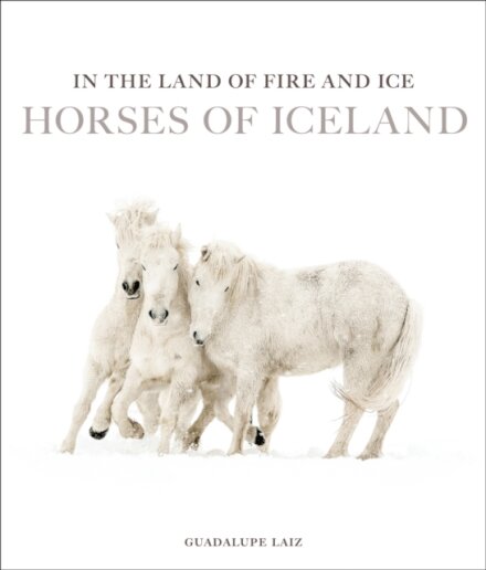 In the Land of Fire and Ice