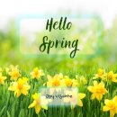 Hello Spring