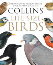 Collins Life Size Birds