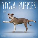 Yoga Puppies 2026 Square Plato Calendar