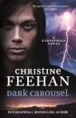 Dark Carousel