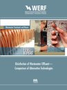 Disinfection of Wastewater Effluent—Comparison of Alternative Technologies