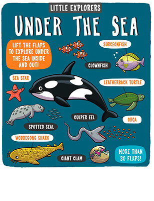 Little Explorers Under The Sea