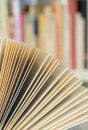 The Pleasure Of Reading