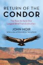Return of the Condor
