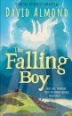 The Falling Boy