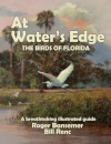At Water's Edge