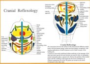 Cranial Reflexology -- A4