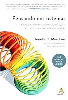 Pensando Em Sistemas: Como Pensamento Sistêmico Pode Ajudar