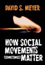 How Social Movements (Sometimes) Matter