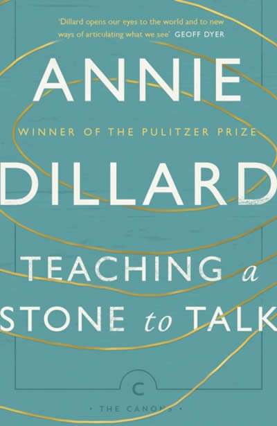 Teaching A Stone To Talk