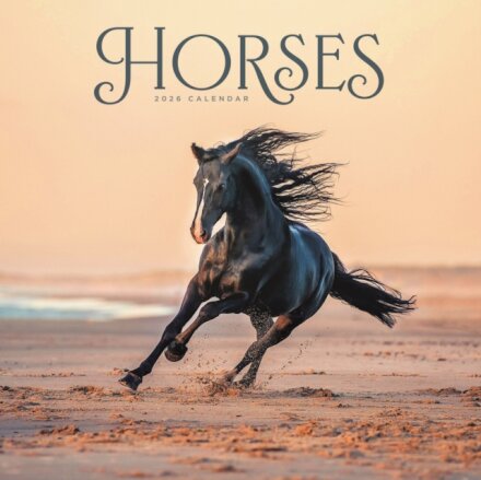 Horses Wiro Wall Calendar 2026
