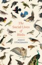 The Social Lives of Birds