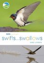 RSPB Spotlight Swifts and Swallows