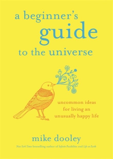 A Beginner's Guide to the Universe