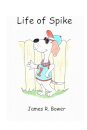 Life of Spike