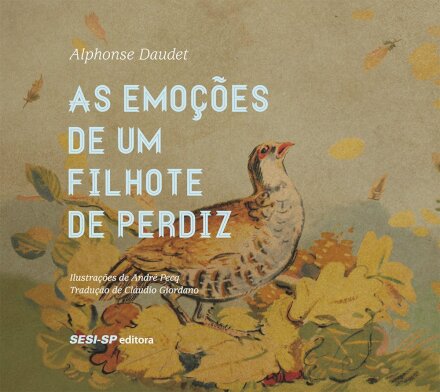 As Emoções De Um Filhote De Perdiz