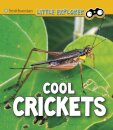 Cool Crickets