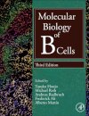 Molecular Biology of B Cells