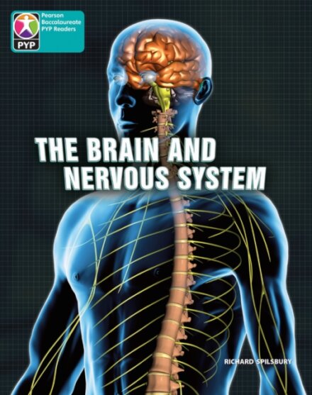 PYP L10 Brain and nervous system 6PK