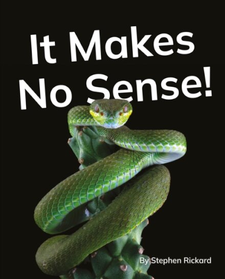 It Makes No Sense!