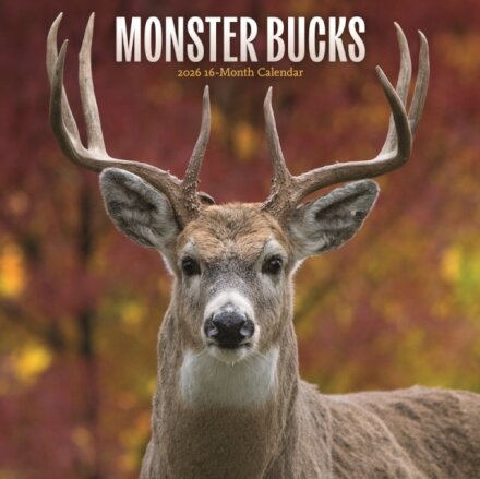 Monster Bucks Square Wall Sunday Start C