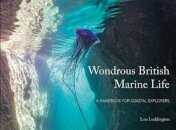Wondrous British Marine Life