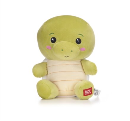 Kawaii Kuties 9.5" Turtle Soft Toy
