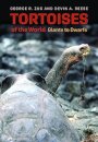 Tortoises of the World