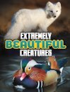 Extremely Beautiful Creatures