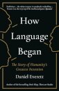 How Language Began
