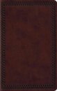 ESV Large Print Value Thinline Bible