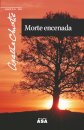 Morte Encenada                  38