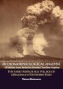 Micromorphological Analysis of Activity Areas Sealed by Vesuvius’ Avellino Eruption