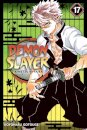 Demon Slayer V17