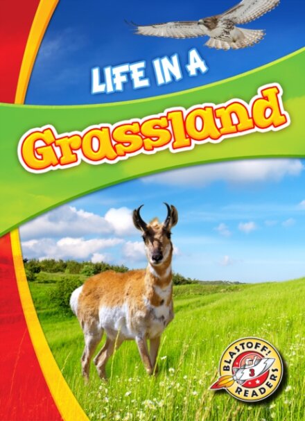 Life in a Grassland