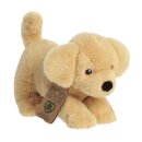 Eco Nation Labrador Dog