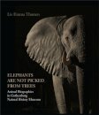 Elephants Are Not Picked from Trees